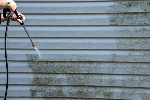 Best Construction Debris Removal  in Sheldon, IL
